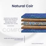 Corolla Mattress - Economy Comfort with Natural Coir & Bonded Foam Layers | Comfort Sleep